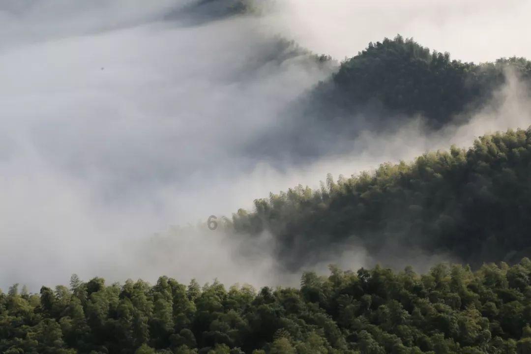 摆动小圆球